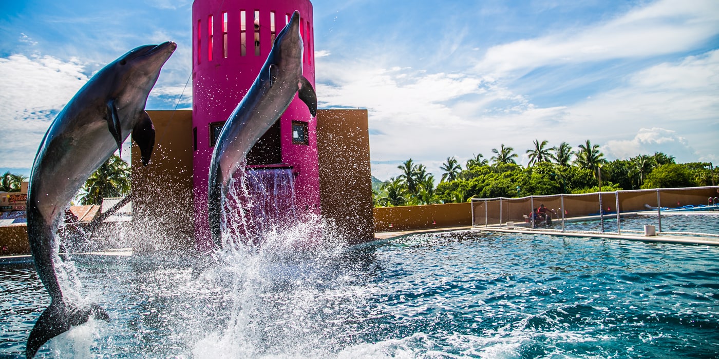 entretenimiento Hotel Irma